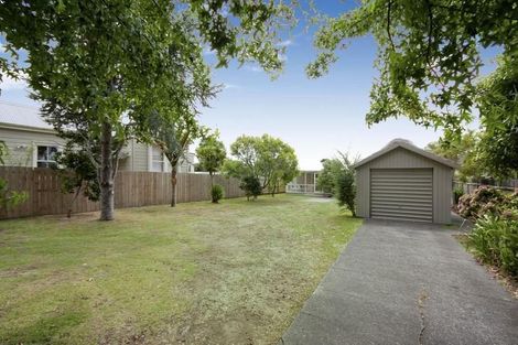 Photo of property in 21 Rimu Street, New Lynn, Auckland, 0600