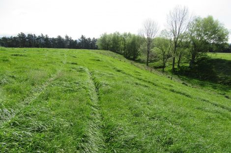 Photo of property in 521 Mill North, Roslyn Bush, Invercargill, 9876