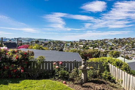 Photo of property in 23 Pennant Street, Wakari, Dunedin, 9010