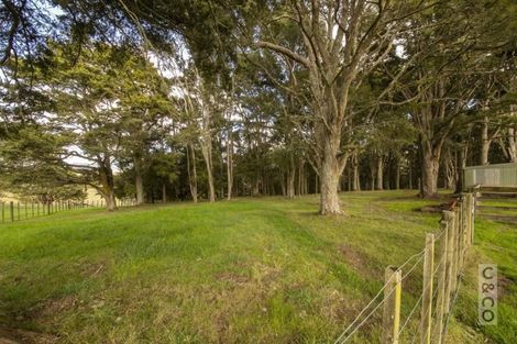 Photo of property in 202 Rapson Road, Kaukapakapa, 0871