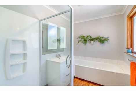 Photo of property in 17 Fastnet Street, Alexandra, 9320