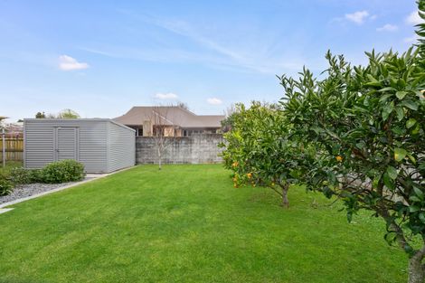 Photo of property in 10 Hanna Street, Te Aroha, 3320