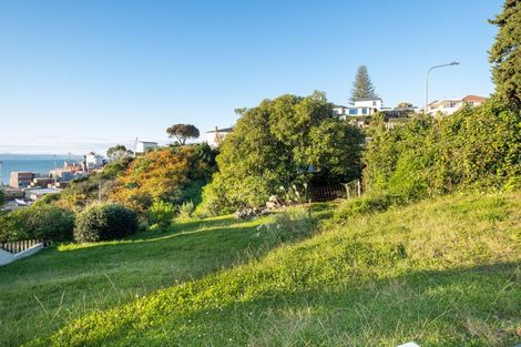 Photo of property in 39 Seapoint Road, Bluff Hill, Napier, 4110