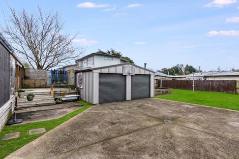 Photo of property in 9 Newall Street, Hamilton East, Hamilton, 3216