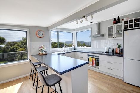 Photo of property in 40 Hastings Street, Wakari, Dunedin, 9010