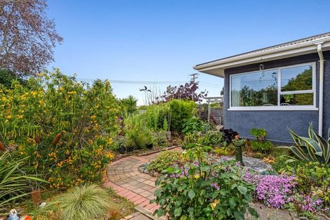 Photo of property in 77 Parker Street, Motueka, 7120
