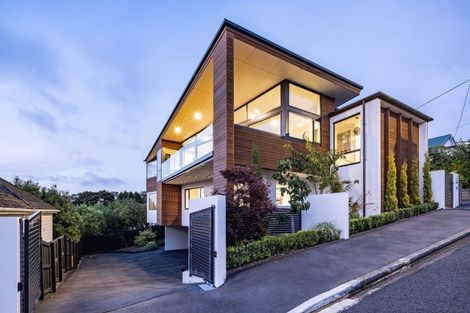 Photo of property in 18 Selkirk Street, Roslyn, Dunedin, 9010