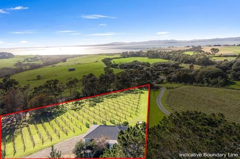 Photo of property in 151 Shelly Beach Road, South Head, Helensville, 0874