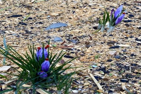 Photo of property in 11 Mount Heslington Road, Brightwater, 7091