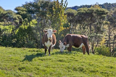Photo of property in 240 Sunnyside Road, Coatesville, Albany, 0793