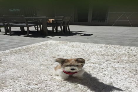 Photo of property in 226 Memorial Avenue, Burnside, Christchurch, 8053