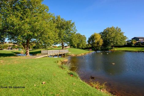 Photo of property in 19 Inglewood Place, Bethlehem, Tauranga, 3110