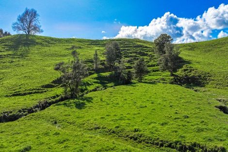 Photo of property in 249b State Highway 27, Mangatarata, Ngatea, 3576