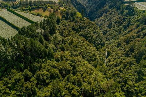 Photo of property in 827 No 1 Road, Te Ranga, Te Puke, 3182