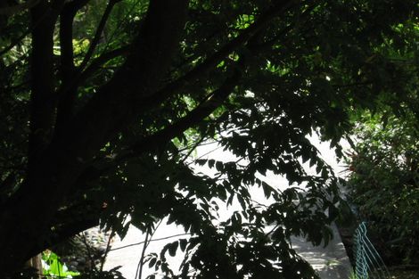 Photo of property in 96 Braemar Road, Castor Bay, Auckland, 0620