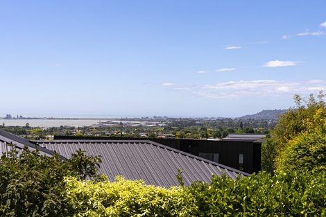 Photo of property in 9 Lodestone Road, Richmond, 7020