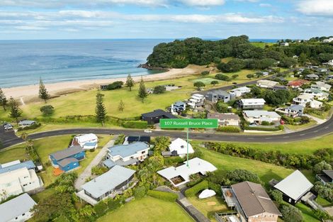 Photo of property in 107 Russell Bruce Place, Onemana, Whangamata, 3691