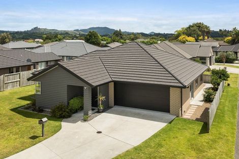 Photo of property in 8 Eastbank Drive, Katikati, 3129