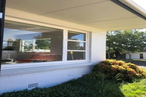 Photo of property in 19a Hinau Street, Woburn, Lower Hutt, 5010