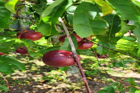 Photo of property in 13 Avoca Place, Darfield, 7510