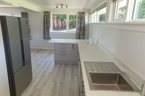 Photo of property in 67 Mckerrow Street, Shiel Hill, Dunedin, 9013