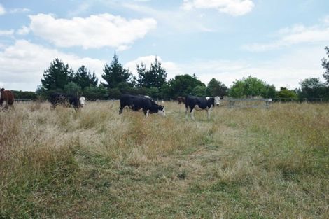 Photo of property in 62 John Hindmarsh Road, Karaka, Papakura, 2580