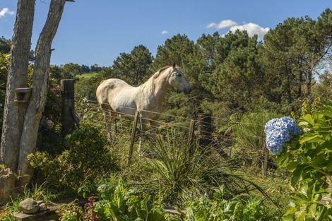Photo of property in 452 Poripori Road, Lower Kaimai, Tauranga, 3171