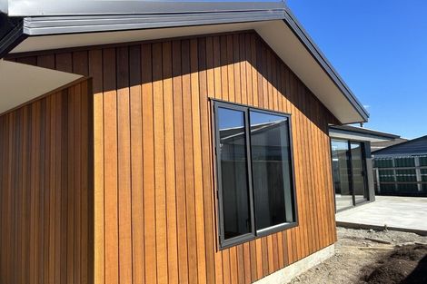 Photo of property in 29c Elizabeth Street, Masterton, 5810