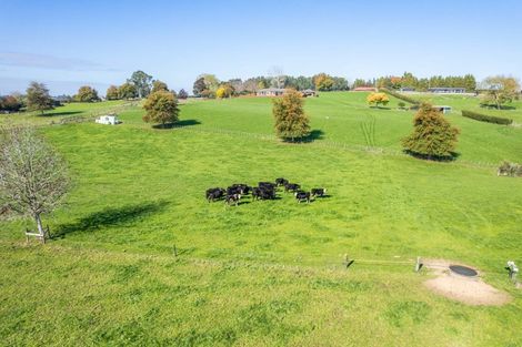 Photo of property in 103 Jury Road, Ngahinapouri, Hamilton, 3290