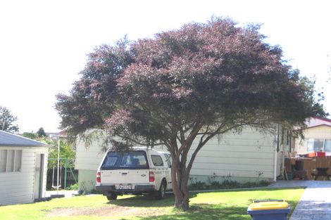 Photo of property in 13 Posa Avenue, Henderson, Auckland, 0612