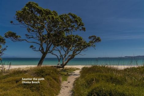 Photo of property in 36 Otama Beach Road, Opito Bay, Whitianga, 3592