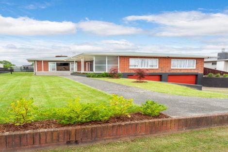 Photo of property in 14 Kauri Crescent, Matamata, 3400