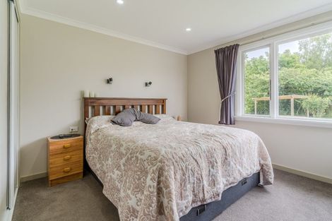 Photo of property in 236 Main Road, Waikouaiti, 9510