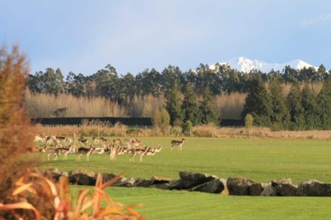 Photo of property in 24 Meadowlinks Lane, Pleasant Point, Timaru, 7974