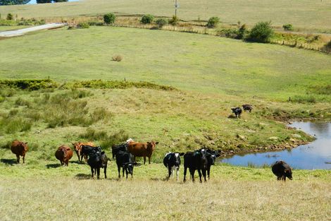 Photo of property in 524 Te Ahu Ahu Road, Waimate North, Kerikeri, 0293