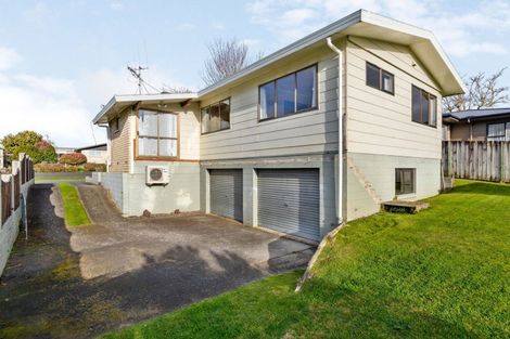 Photo of property in 195 Colgan Street, Te Awamutu, 3800