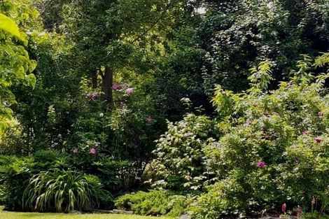 Photo of property in 466 Earlys Road, Cust, 7471