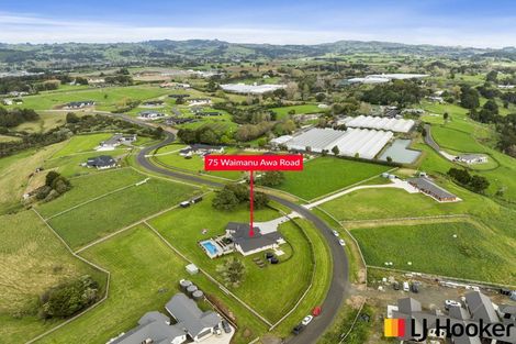 Photo of property in 75 Waimanu Awa Road, Runciman, Drury, 2579