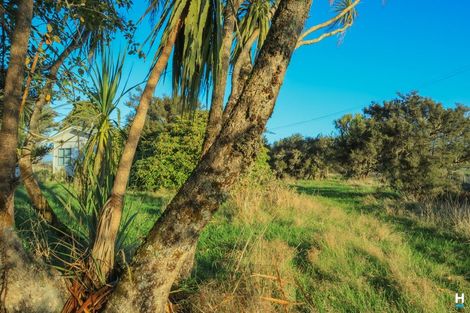 Photo of property in 829 Nelson Creek Road, Hochstetter, Dobson, 7872