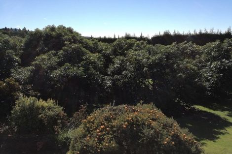 Photo of property in 6a Woodland Road, Tahawai, Katikati, 3170