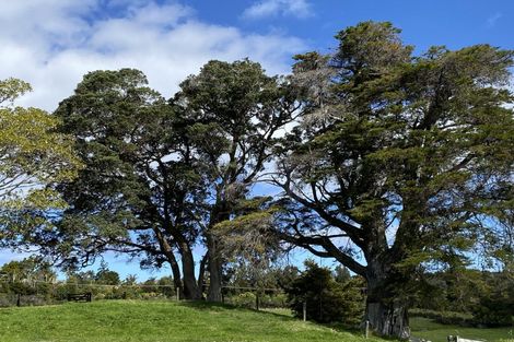 Photo of property in 54 Kourataki Road, Leigh, Warkworth, 0985