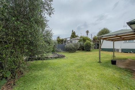 Photo of property in 47 Totara Street, Putaruru, 3411