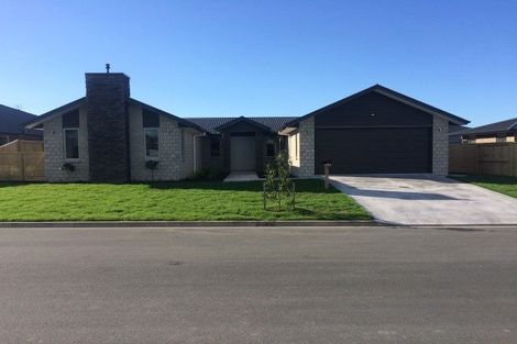 Photo of property in 41 Materawaho Way, Pyes Pa, Tauranga, 3112