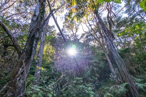 Photo of property in 1469 Pack Spur Road, Mataikona, Masterton, 5889