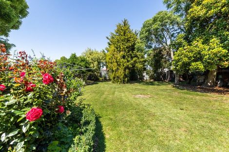 Photo of property in 907 Lawrence Street, Akina, Hastings, 4122