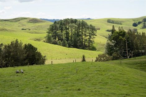 Photo of property in 67 Fraser Road, Kawakawa, 0210