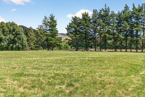 Photo of property in 869 Norfolk Road, Upper Plain, Carterton, 5791