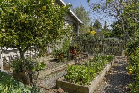 Photo of property in 429 High Street South, Carterton, 5713