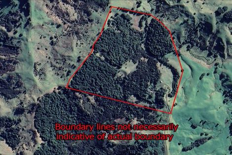 Photo of property in 341 Irvine Road, Purua, Whangarei, 0176