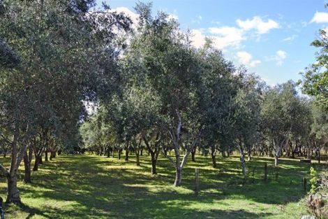 Photo of property in 26 Roughton Lane, Brightwater, 7091